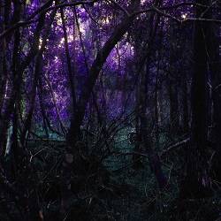 Tabula Rasa - Nocuous Keloid